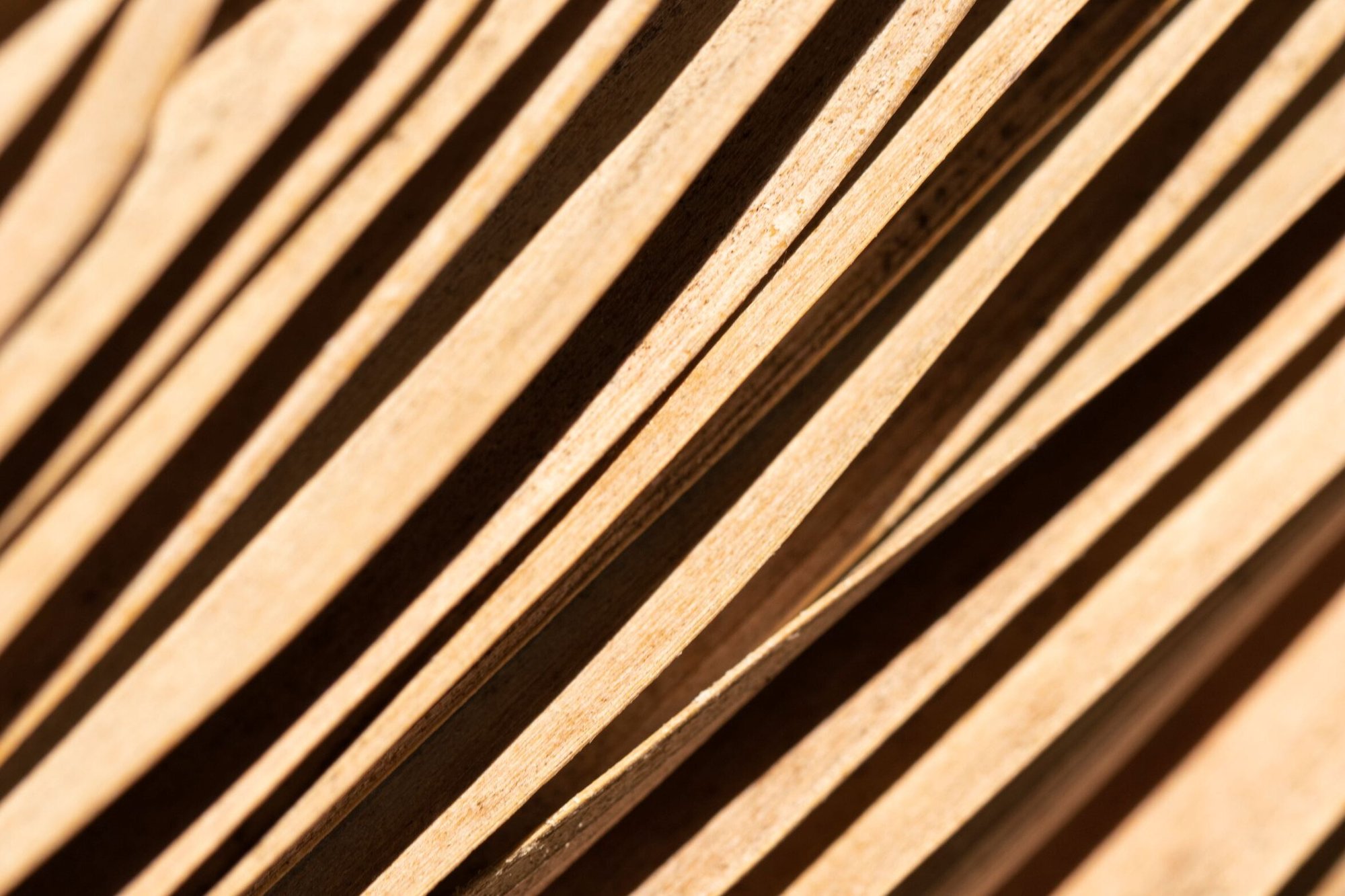 natural-elements-organic-background (1)