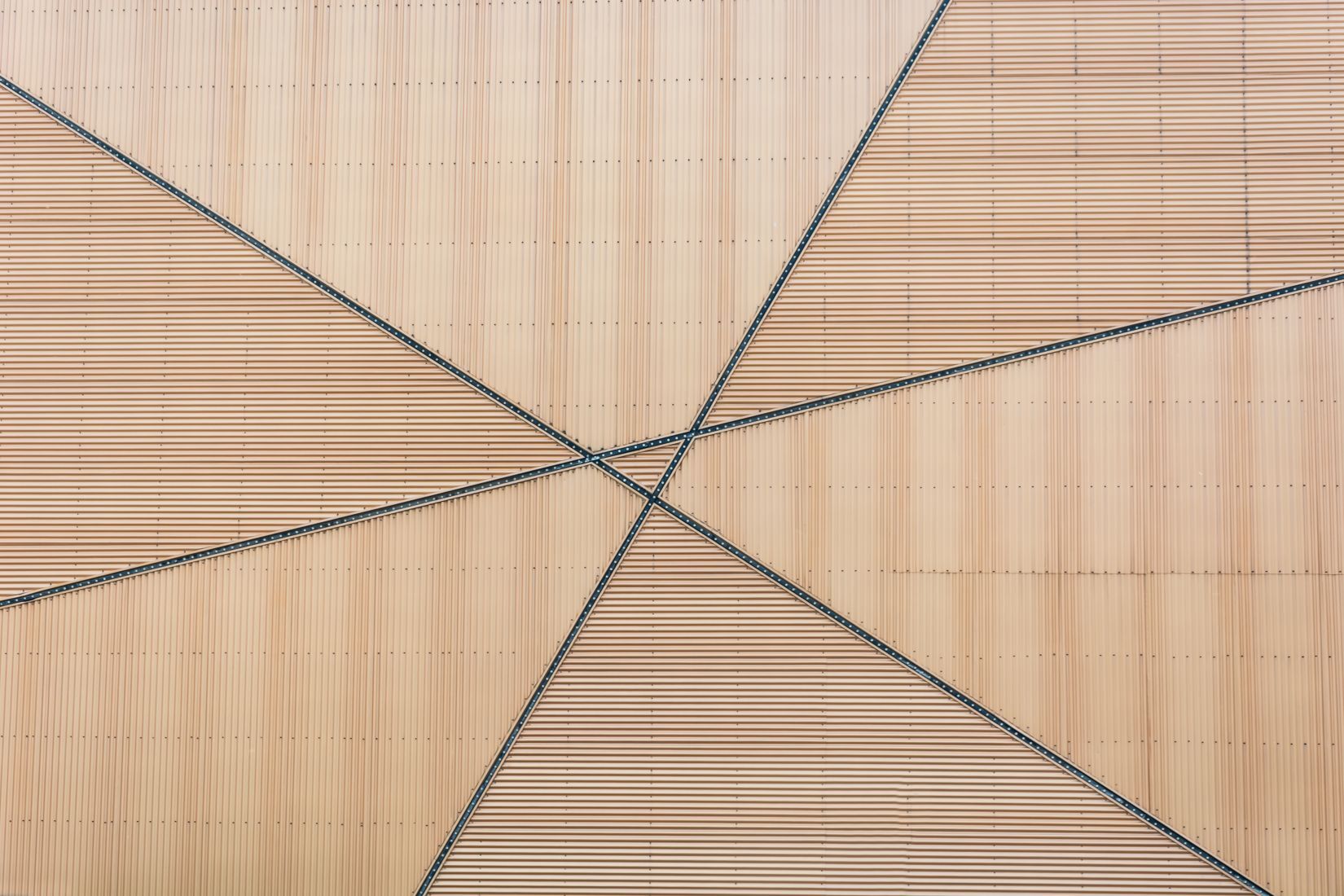 color-texture-wood color-texture-wood